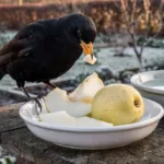 Jardin : un fruit d’hiver méconnu attire les oiseaux et booste vos récoltes